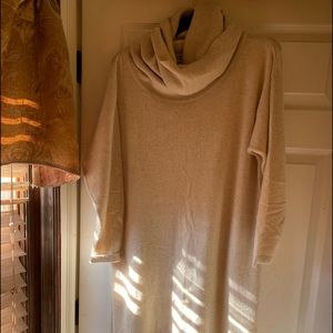 Cashmere Tunic/Dress